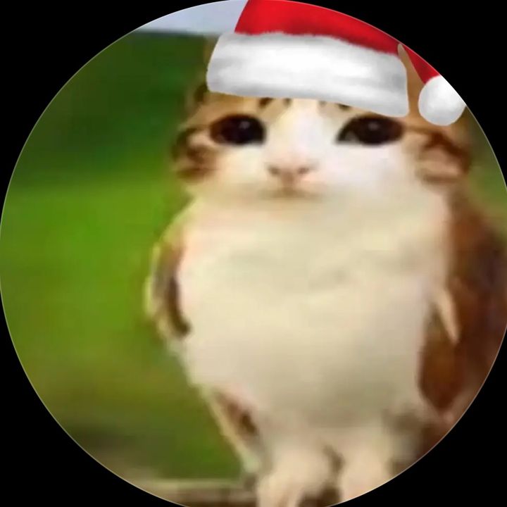 Profile Picture of JEREMY PIEE (@jeremy_piee) on Tiktok