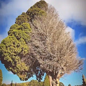 Profile Picture of Sanjay Shrestha (@SanjayShresth-4) on Youtube