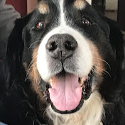 Profile Picture of Stephanie Carl (@stephaniecarl6674) on Youtube