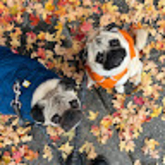 Profile Picture of Joseph Chan (@josephchan471) on Poshmark