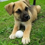 Profile Picture of Amos Eugene Evans (@stinkyamos18) on Instagram