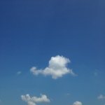 Profile Picture of James Tyger (@jamestyger12) on Instagram