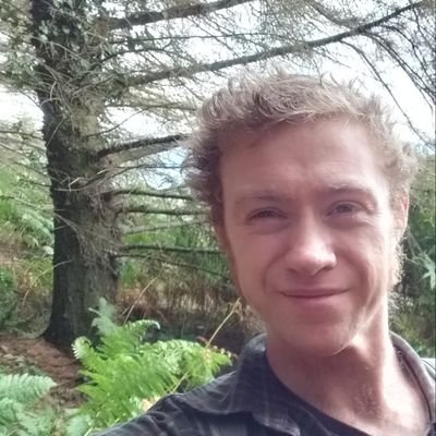 Profile Picture of David Hollywood (@DavidHollywood_) on Twitter