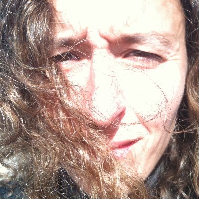 Profile Picture of Amelia Royko Maurer (@roykomaurer) on Twitter