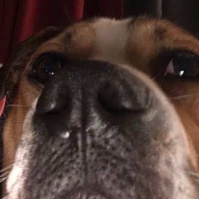 Profile Picture of Ryan Huebner (@RyanHuebner2) on Twitter