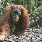 Profile Picture of David K (@d_knaggs) on Instagram