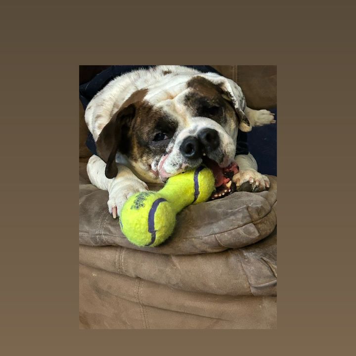 Profile Picture of Eric Powers (@eric.powers0) on Tiktok