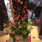 Profile Picture of Michiko Takeda (@michiko4206) on Instagram