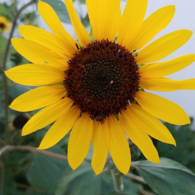 Scott Staley - Twitter Profile Picture of Scott Staley (@ScottStaley15) on Twitter