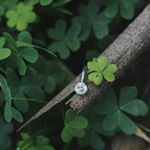 Profile Picture of Vivian Loo and Benjamin Lai (@vivgotbenboozled) on Instagram