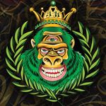 Profile Picture of Jade Monkey Wilmington NC (@jademonkeytattoo) on Instagram