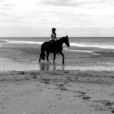 Profile Picture of Dawn Handley (@DawnHandley8) on Twitter