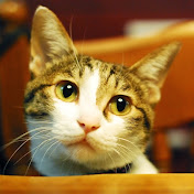 Profile Picture of Yoshirou Tsuchitani (@yoshiroutsuchitani7081) on Youtube