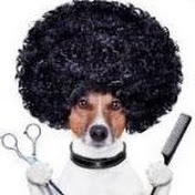 Profile Picture of Ross Poole (@rosspoole4670) on Youtube