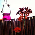 Profile Picture of Lorie Devine (@manningalurtaman) on Instagram