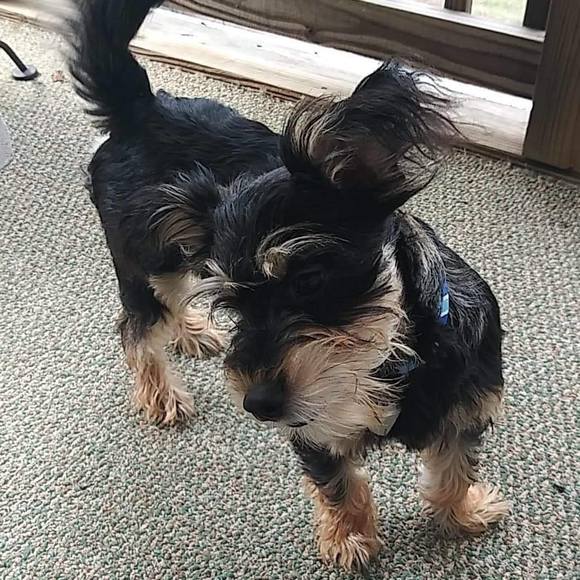 Profile Picture of Kimmie Bell (@kimmiejo269) on Poshmark