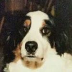 Andrew Mayberry - Instagram Profile Picture of Andrew Mayberry (@mayberryandrew) on Instagram