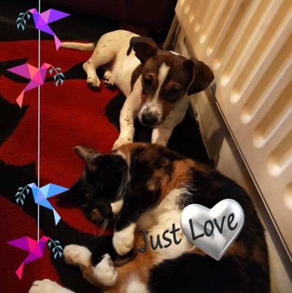 Profile Picture of Kay Beilby (@kaybeilby) on Poshmark