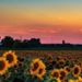 Profile Picture of Alexis Gerhold (@cv_agerhold2027) on Pinterest
