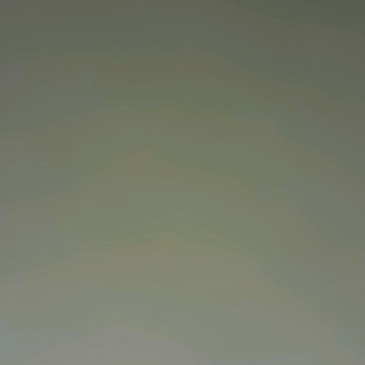 Profile Picture of Elizabeth Spence 🐩 (@elizabethspence) on Tiktok