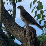 Profile Picture of Mike Criddle (@mike.criddle.3) on Instagram