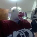 Profile Picture of Steven Difilippo (@goalie_unicorn) on Instagram