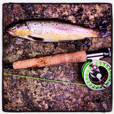 Profile Picture of Nathan Angell (@nathan_angell) on Twitter