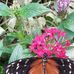 Profile Picture of Linda Cottrell (@linda.cottrell.5680) on Facebook