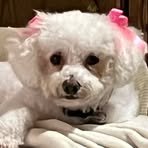 Profile Picture of Donna Gerhart Birkby (@donna.gerhartbirkby) on Facebook