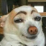 Cheri Craig - Instagram Profile Picture of Cheri Craig (@ccraig10) on Instagram