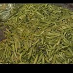 بامیه- بانیه - Instagram Profile Picture of بامیه- بانیه (@bamieh___bamyeh) on Instagram