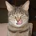 Profile Picture of Georg Stefanski (@georgstefanski) on Pinterest