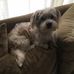 Profile Picture of Steve Smalley (@steve.smalley.5621) on Facebook