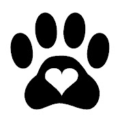 Profile Picture of Stephanie Herschbach (@SLHershey13) on Youtube