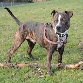 Profile Picture of Mandy Garratt (flip flop) (@amanda.garratt.96) on Facebook