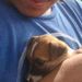 Profile Picture of Mark Alvares (@markiealvares) on Pinterest