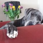 Michael Blenkinsop - Instagram Profile Picture of Michael Blenkinsop (@michael.blenkinsop) on Instagram