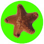 Profile Picture of choccystarfish1 (@@choccystarfish1) on Tiktok