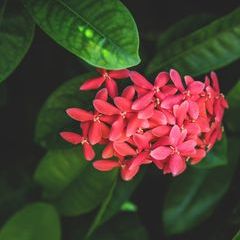 Profile Picture of Pamela Wilbert (@pamela.wilbert) on Tiktok