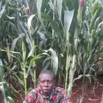 Profile Picture of Kevin Tanui (@Kevin-Tanui) on Facebook