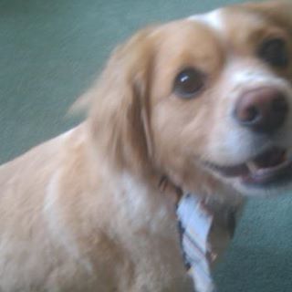 Profile Picture of Jesse Stuhltrager (@jesse.stuhltrager.9) on Facebook