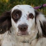 Profile Picture of Alexandra Frances Photography (@alexandrafrancesphotography) on Instagram