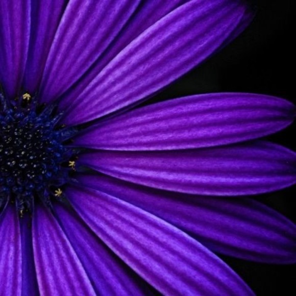 Profile Picture of Brenda Key (@brendakey522) on Poshmark