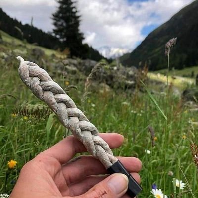 Profile Picture of Jesse (@Jesse_420Blaze) on Twitter