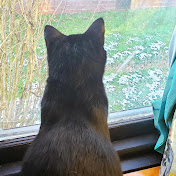 Michelle Mccarter - Youtube Profile Picture of Michelle Mccarter (@michellemccarter2878) on Youtube