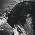 Profile Picture of joshua summerhill (@summerhill_joshua297) on Instagram