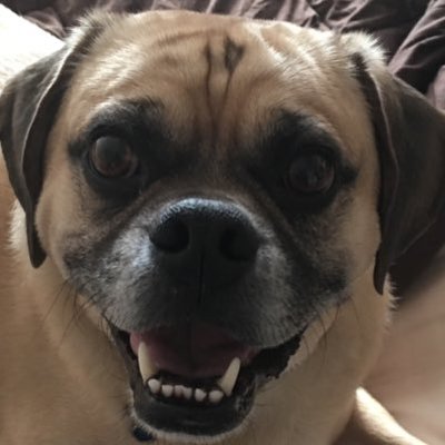 Profile Picture of Jeff Schumann (@Jschu1Jeff) on Twitter