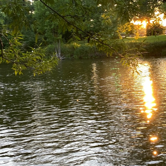 Profile Picture of Sahar Abuhussein (@abuhu) on Poshmark