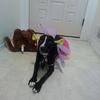 Profile Picture of Bianca Blackmon (@@user8611334422250) on Tiktok
