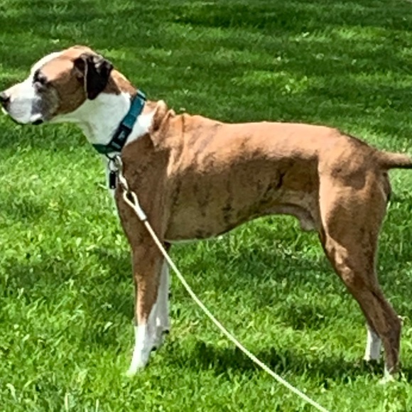 Profile Picture of Jay Conrad (@jmc1977) on Poshmark